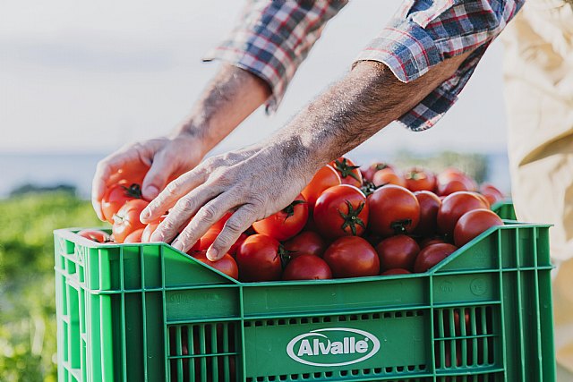 Este verano Alvalle producirá más de 25 millones de litros de gazpacho desde su nueva planta a la vanguardia en sostenibilidad - 1, Foto 1