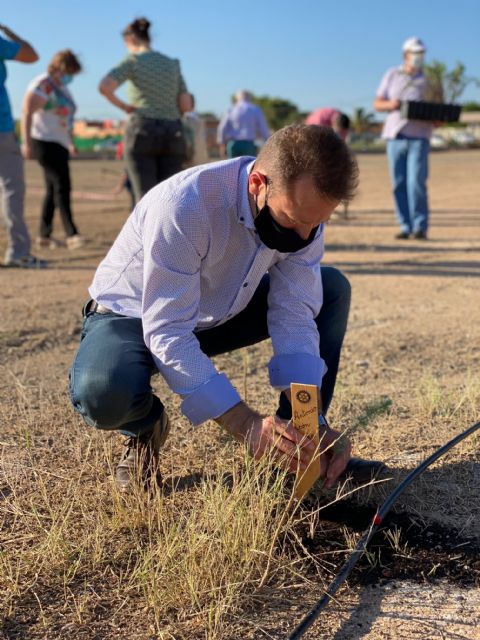 Torre Pacheco celebró el Día del Medio Ambiente con una iniciativa a través de redes sociales y con la plantación de árboles - 1, Foto 1