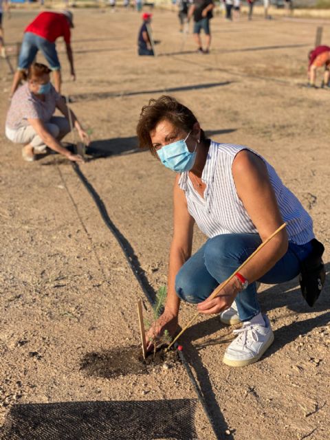 Torre Pacheco celebró el Día del Medio Ambiente con una iniciativa a través de redes sociales y con la plantación de árboles - 2, Foto 2