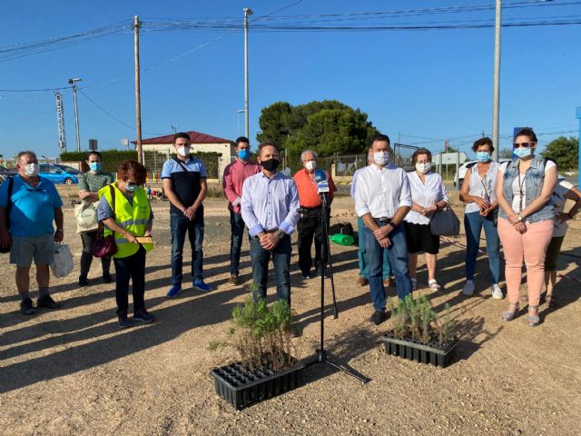 Torre Pacheco celebró el Día del Medio Ambiente con una iniciativa a través de redes sociales y con la plantación de árboles - 4, Foto 4