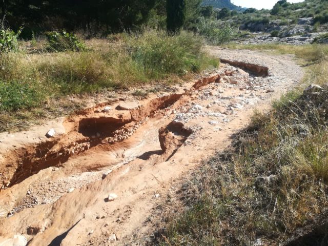 Las lluvias del pasado sábado dañaron más de un centenar de kilómetros de caminos rurales del término municipal - 4, Foto 4