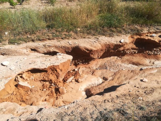 Las lluvias del pasado sábado dañaron más de un centenar de kilómetros de caminos rurales del término municipal - 5, Foto 5