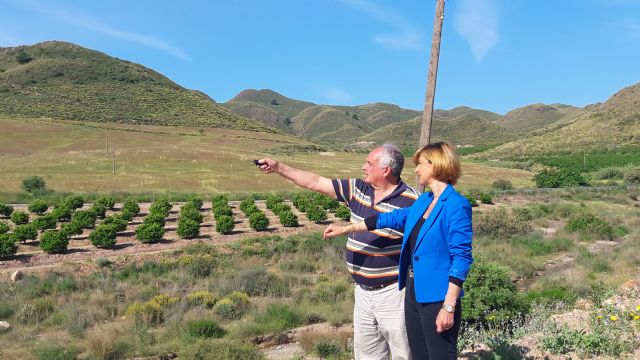 Los ladrones regresan al mismo lugar de Morata del que sustrajeron 1,5 km de tendido eléctrico hace dos semanas - 2, Foto 2