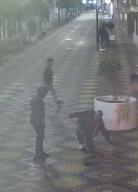 La Guardia Civil detiene a los miembros de un grupo juvenil por una agresión y tentativa de robo con violencia a un vecino de Águilas - 1, Foto 1