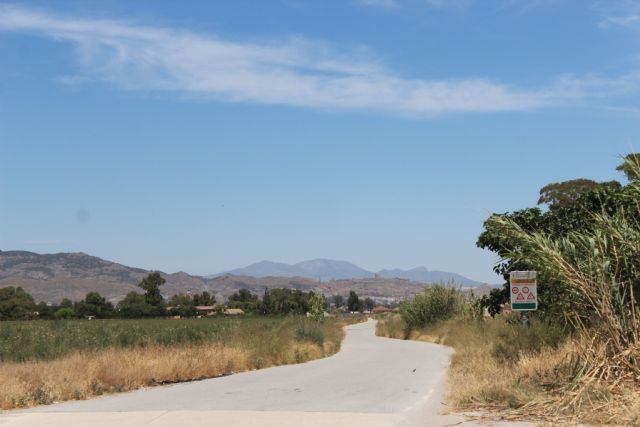 El Ayuntamiento de Puerto Lumbreras acomete el desbroce y limpieza de caminos públicos del municipio - 3, Foto 3