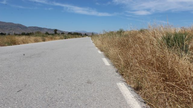 El Ayuntamiento de Puerto Lumbreras acomete el desbroce y limpieza de caminos públicos del municipio - 4, Foto 4