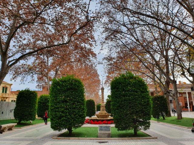 El Ayuntamiento de Lorca continua las labores de fumigación para evitar la proliferación de mosquitos y  de pulgón y cochinilla en el arbolado en Las Alamedas - 1, Foto 1