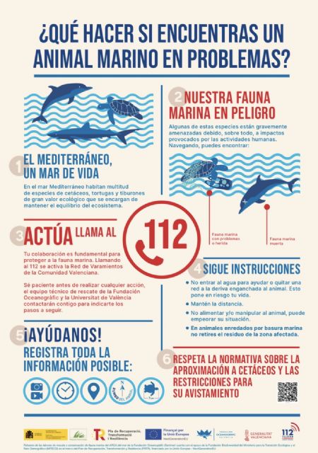 El Ayuntamiento de Lorca colabora un a&ntilde;o m�s con la Fundaci�n Oceanogr�fic para proteger los animales marinos durante el periodo estival