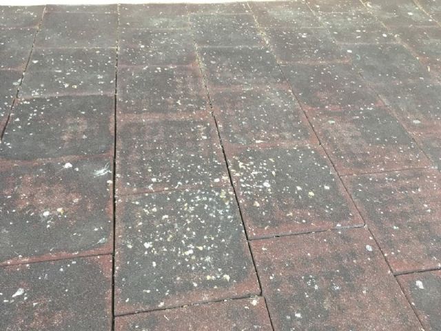 IU-Verdes pide que los trabajadores de los Consejos Comarcales sean destinados a labores de mantenimiento en los pueblos de Lorca - 1, Foto 1