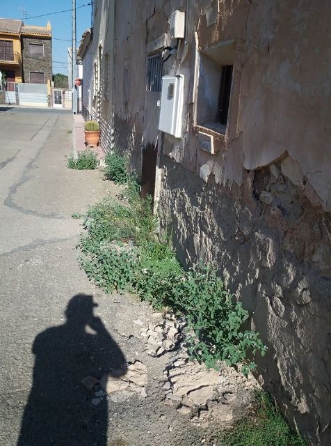 IU-Verdes pide que los trabajadores de los Consejos Comarcales sean destinados a labores de mantenimiento en los pueblos de Lorca - 3, Foto 3