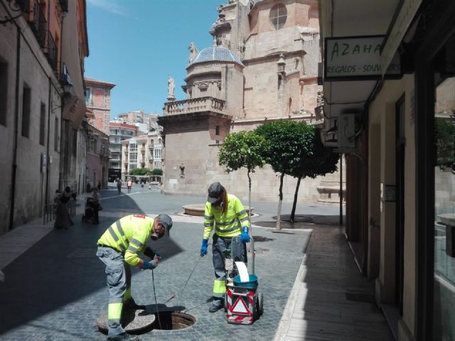 Los trabajos de desratización y desinfección contra cucarachas continúan durante todo el verano - 2, Foto 2