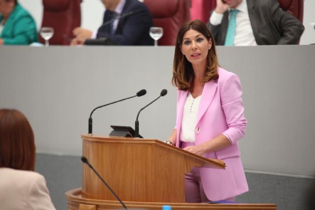 La Asamblea insta a abrir los consultorios médicos siempre que se garantice la seguridad de usuarios y profesionales - 1, Foto 1