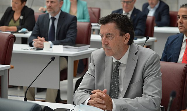 Ciudadanos apuesta por el impulso de la consulta médica telemática para evitar desplazamientos a los consultorios - 1, Foto 1