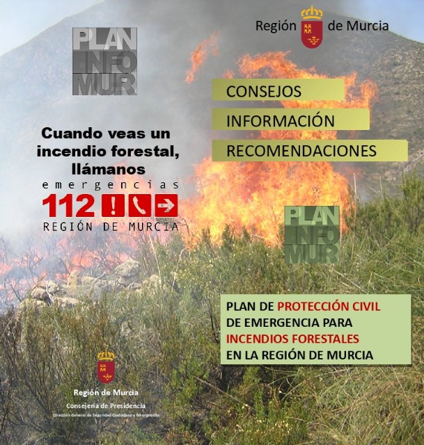 El nivel de riesgo de incendio forestal previsto por la Aemet es hoy muy alto en toda la Región, Cieza incluida - 1, Foto 1