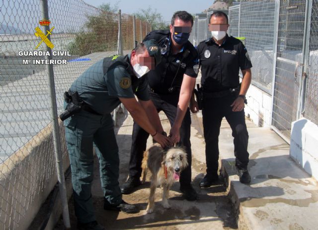 La Guardia Civil investiga a un vecino de Águilas por maltratar a su perro - 1, Foto 1