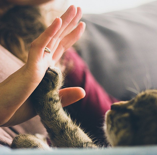 Personas y animales ya hablamos el mismo idioma gracias a la innovación y a la inteligencia artificial - 1, Foto 1