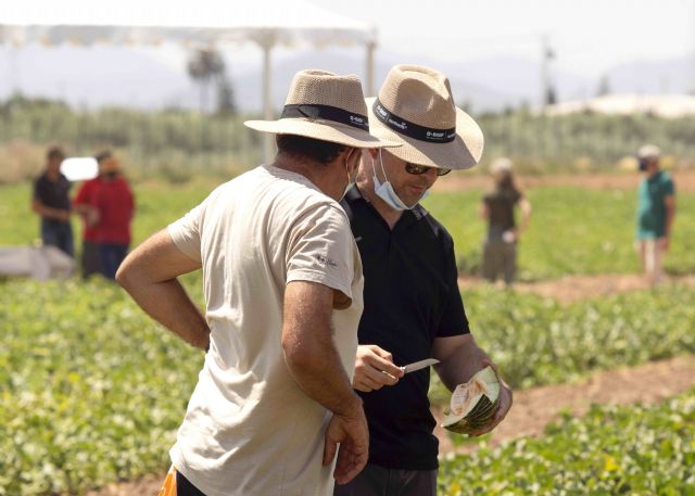 BASF iza la bandera del sabor en un Business Trends for Experts volcado en la exportación - 2, Foto 2