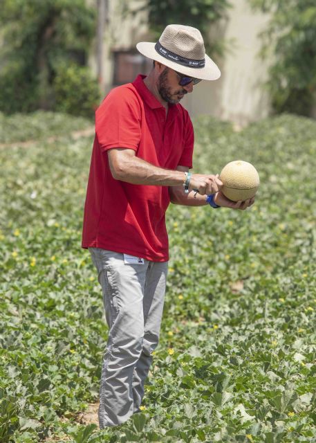 BASF iza la bandera del sabor en un Business Trends for Experts volcado en la exportación - 3, Foto 3