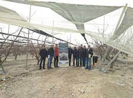 Un análisis agroeconómico avala la rentabilidad de las innovaciones que minimicen los efectos del cambio climático en frutales de hueso - 1, Foto 1