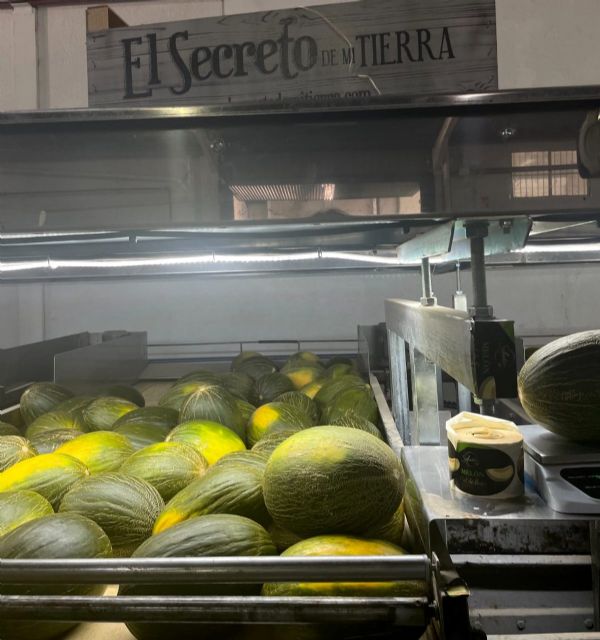 El Secreto de Mi Tierra aumenta un 13% las ventas de melón de piel de sapo - 2, Foto 2