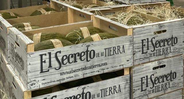 El Secreto de Mi Tierra aumenta un 13% las ventas de melón de piel de sapo - 3, Foto 3