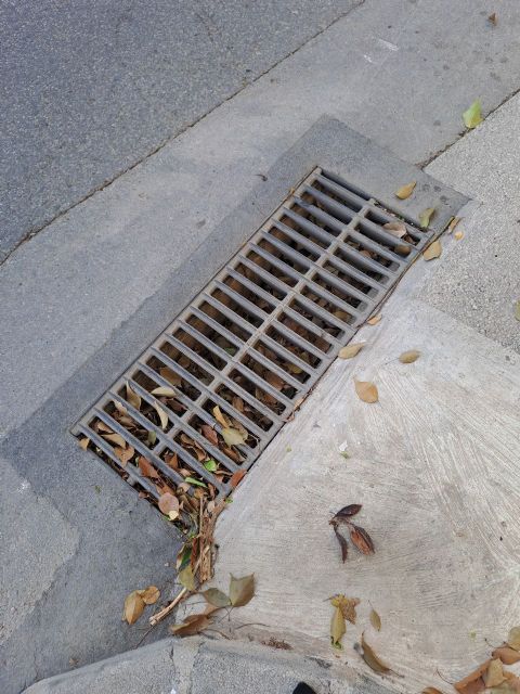 MC advierte del riesgo en Cartagena por imbornales sin limpiar y el abandono institucional - 1, Foto 1