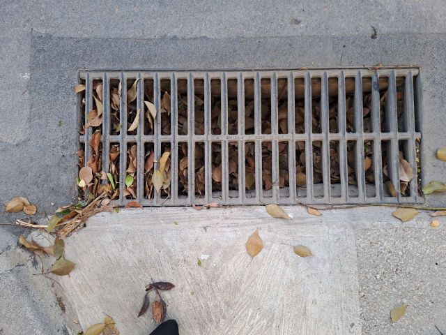 MC advierte del riesgo en Cartagena por imbornales sin limpiar y el abandono institucional - 2, Foto 2