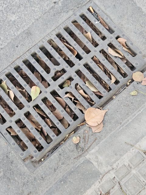 MC advierte del riesgo en Cartagena por imbornales sin limpiar y el abandono institucional - 3, Foto 3