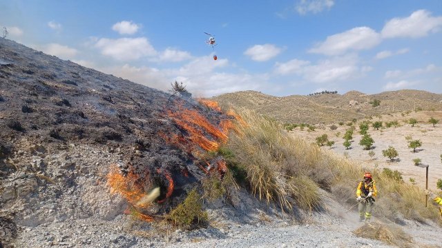 Conato de incendio forestal en El Aljibejo – Diputación de La Escucha (Lorca) - 1, Foto 1