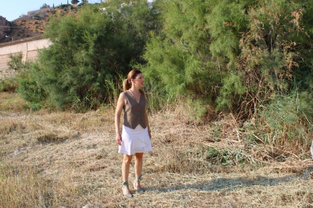 El Gobierno de Lorca inicia el desbroce del tramo urbano del río Guadalentín entre La Velica y el puente del ferrocarril de Santa?Clara - 1, Foto 1
