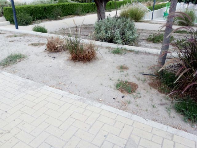 El PSOE pide intensificar las tareas de limpieza y mantenimiento de calles, parques y jardines para ofrecer una imagen más positiva de la ciudad en verano - 1, Foto 1