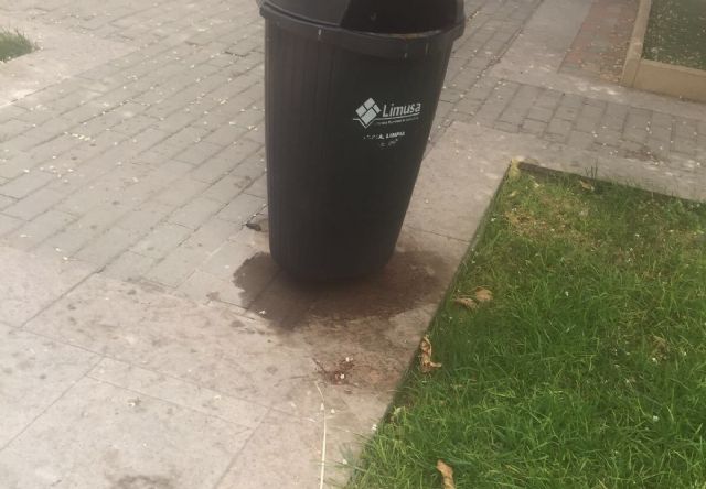 El PSOE pide intensificar las tareas de limpieza y mantenimiento de calles, parques y jardines para ofrecer una imagen más positiva de la ciudad en verano - 5, Foto 5