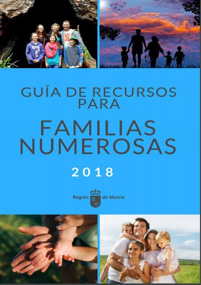 La Comunidad edita una guía con el catálogo de prestaciones para las familias numerosas - 1, Foto 1