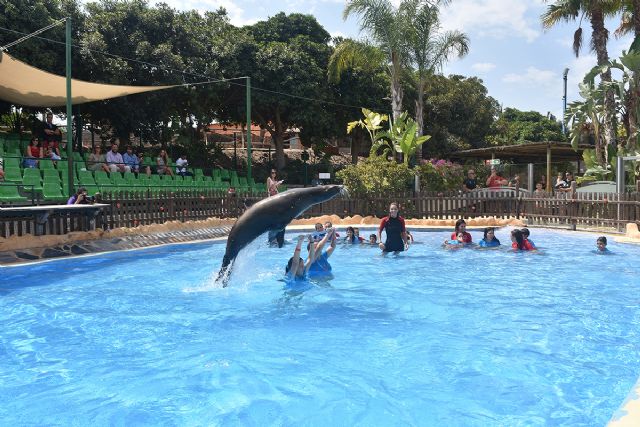 Medio centenar de niños y jóvenes con discapacidad mejoran su calidad de vida con la zooterapia en Terra Natura - 1, Foto 1