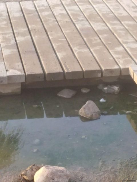 Podemos denuncia la dejadez del paseo marítimo situado entre Isla Plana-La Azohía - 4, Foto 4