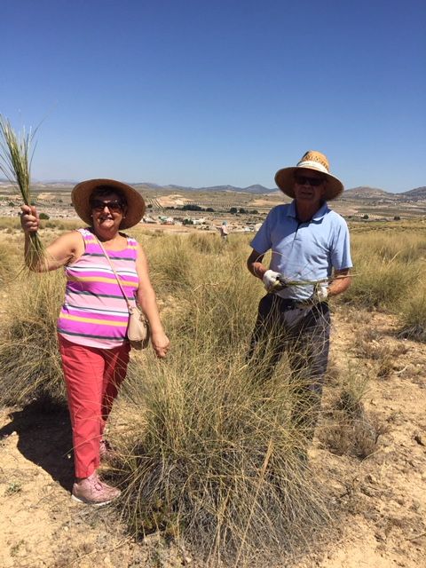 Mayores de Torre Pacheco en la Fiesta del Esparto en Águilas - 2, Foto 2