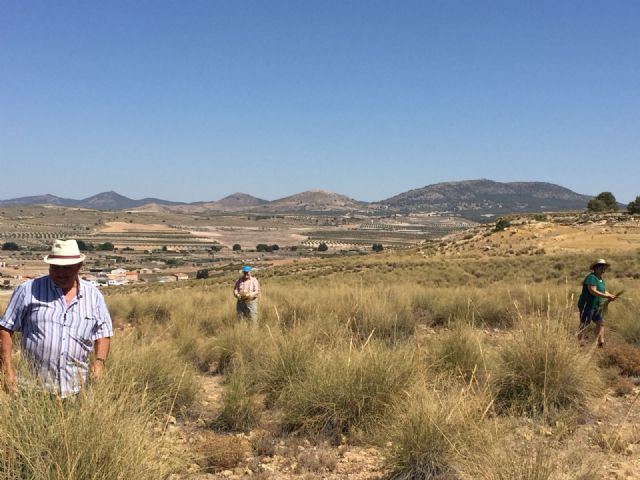 Mayores de Torre Pacheco en la Fiesta del Esparto en Águilas - 4, Foto 4