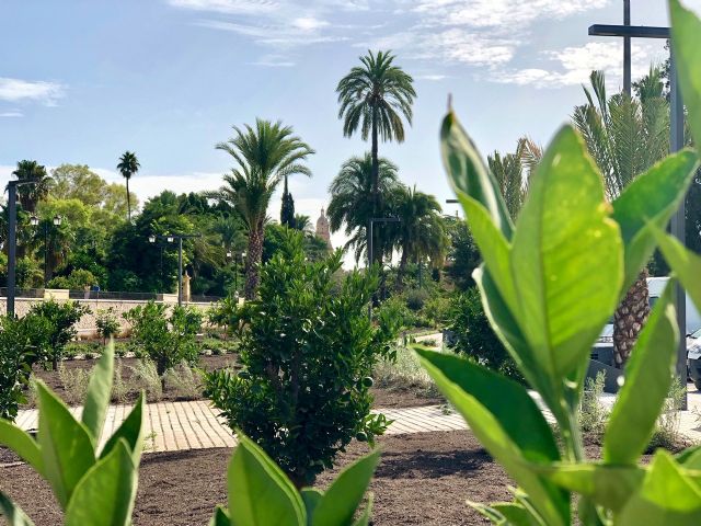 Un nuevo jardín que recrea la Huerta une el Malecón con el río y llena de color el entorno con árboles frutales - 3, Foto 3