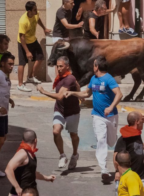 Frutos Molina leerá mañana el Pregón Taurino de la Feria y Fiestas de Agosto - 1, Foto 1