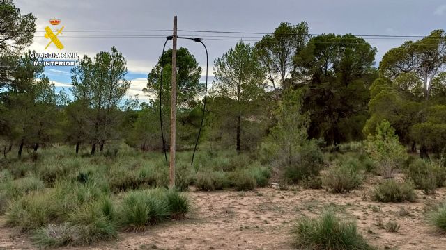 La Guardia Civil desarticula un grupo delictivo que sustraía cable de cobre en Murcia y Albacete - 2, Foto 2
