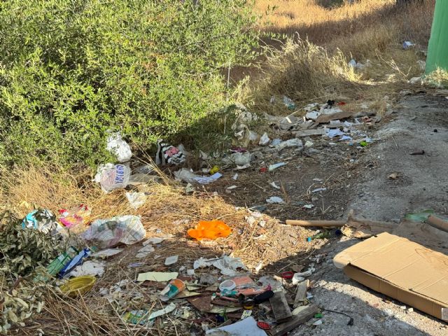 El PSOE Lorca denuncia la incapacidad del gobierno PP y VOX para mantener limpia Lorca y sus pedanías - 2, Foto 2