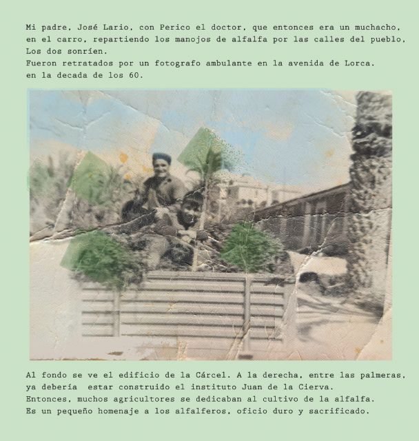 Veraneando VII: Las moscas, Foto 1