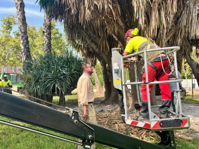 Murcia refuerza la vigilancia y limpieza de grafitis en las zonas verdes del municipio - 3, Foto 3