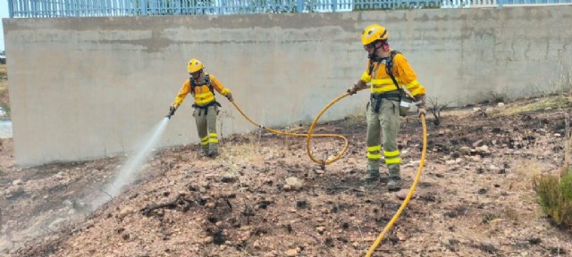 Apagan el incendio declarado en cultivos agrícolas abandonados en Aledo - 1, Foto 1