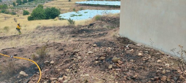 Apagan el incendio declarado en cultivos agrícolas abandonados en Aledo - 3, Foto 3