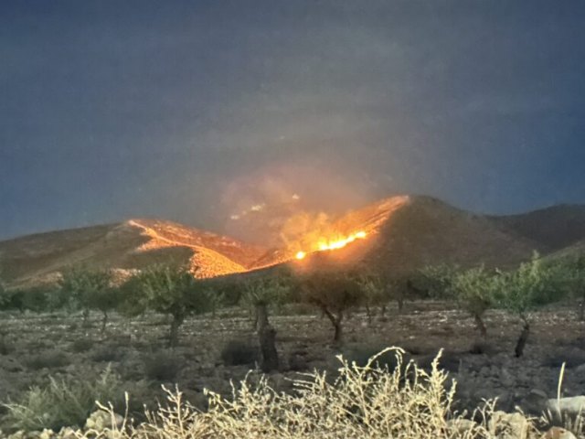 Efectivos adscritos al Plan Infomur intervienen en un conato de incendio forestal declarado en La Sierra de Los Hermanillos de Jumilla - 1, Foto 1