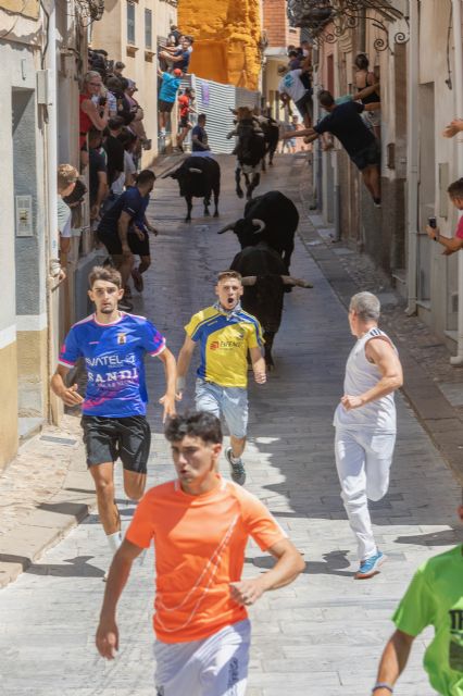 La primera cita taurina de las Fiestas Patronales de Blanca 2026 deja un primer encierro rápido y con emocionantes carreras - 2, Foto 2