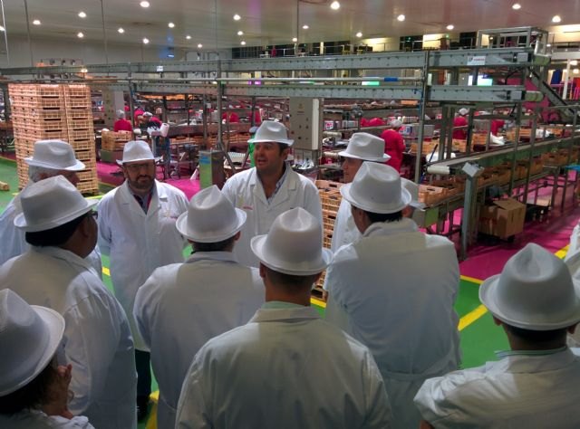 Una delegación latinoamericana visita la cuenca del Segura para estudiar el uso eficiente del agua, Foto 1