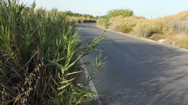 El PSOE advierte del peligro que provoca el mal estado de las carreteras que atraviesan Los Ramos - 1, Foto 1