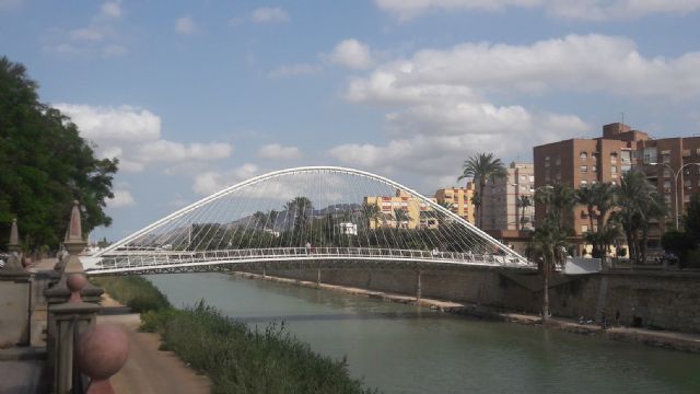 Ahora Murcia advierte de que el cochambroso estado de la moqueta de la pasarela de vistabella-infante puede provocar lesiones y caídas - 5, Foto 5